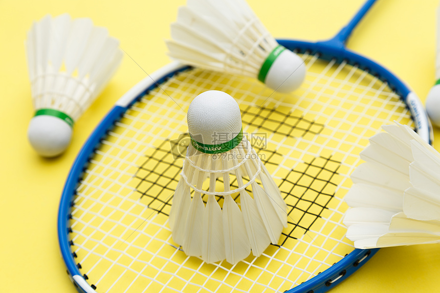 毅力和团队 毅力和团队