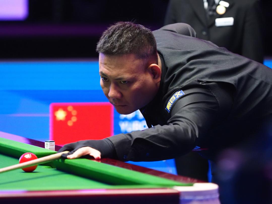 他们采用高 他们采用高